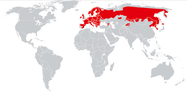 Répartition mondiale de l'écureuil roux (Sciurus vulgaris)